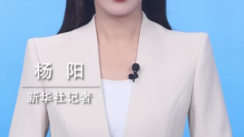 网络安全风险评估：优缺点对比解析